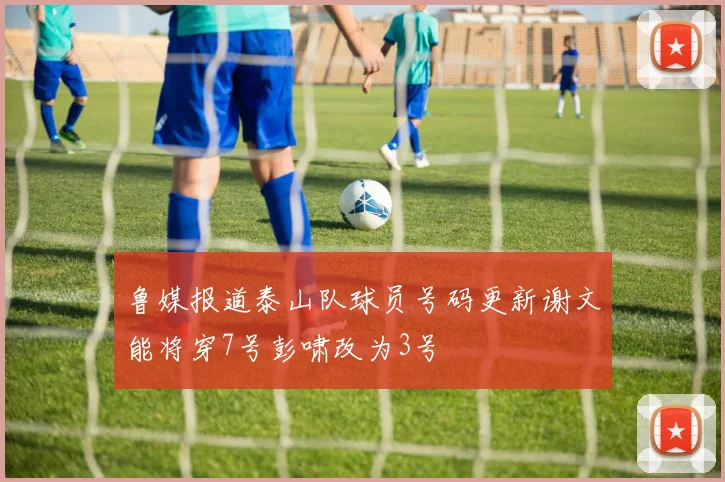 鲁媒报道泰山队球员号码更新谢文能将穿7号彭啸改为3号