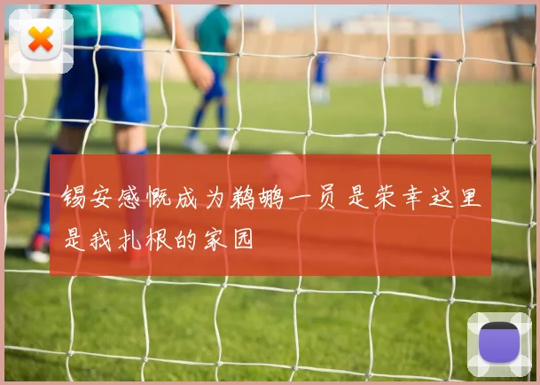 锡安感慨成为鹈鹕一员是荣幸这里是我扎根的家园