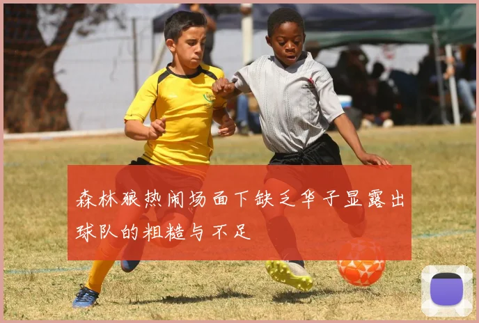 森林狼热闹场面下缺乏华子显露出球队的粗糙与不足