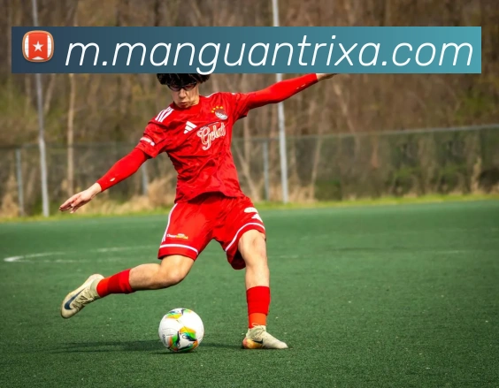 满冠体育品牌故事