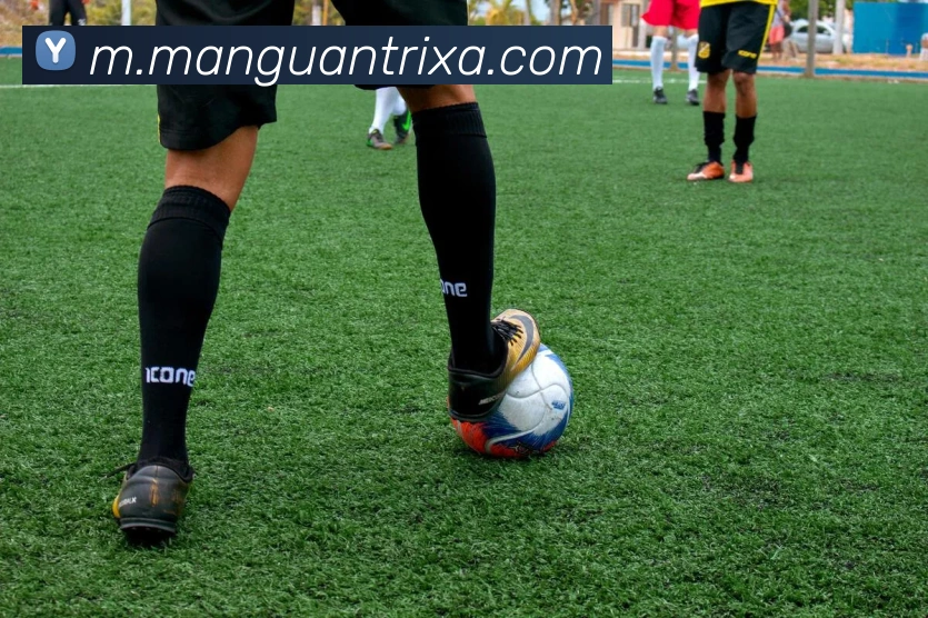 满冠体育服务体系